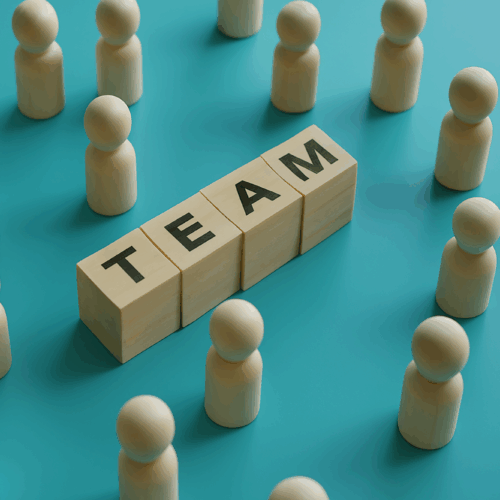 New Team Members